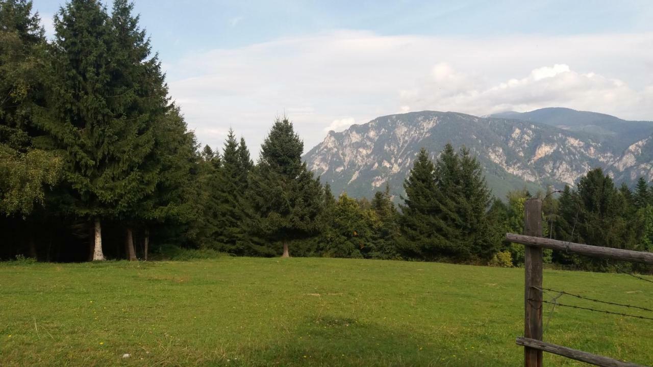 Miniferienwohnung Fuer Unkompliziertes Naturliebhaberpaerchen Payerbach Exterior photo